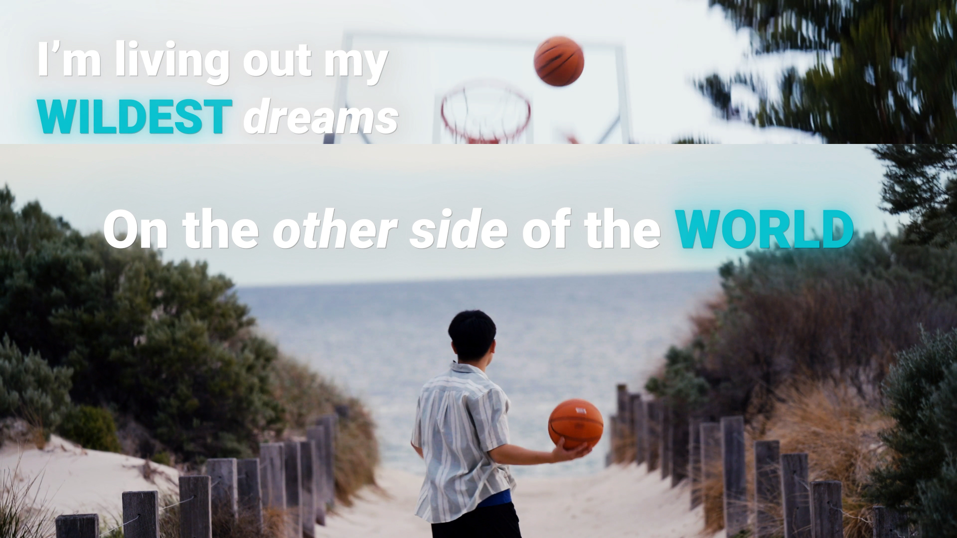 SACE Graduate story - Tran